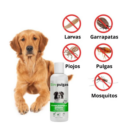 Sin-pulgas- Champú Antipulgas y garrapatas para perros y gatos