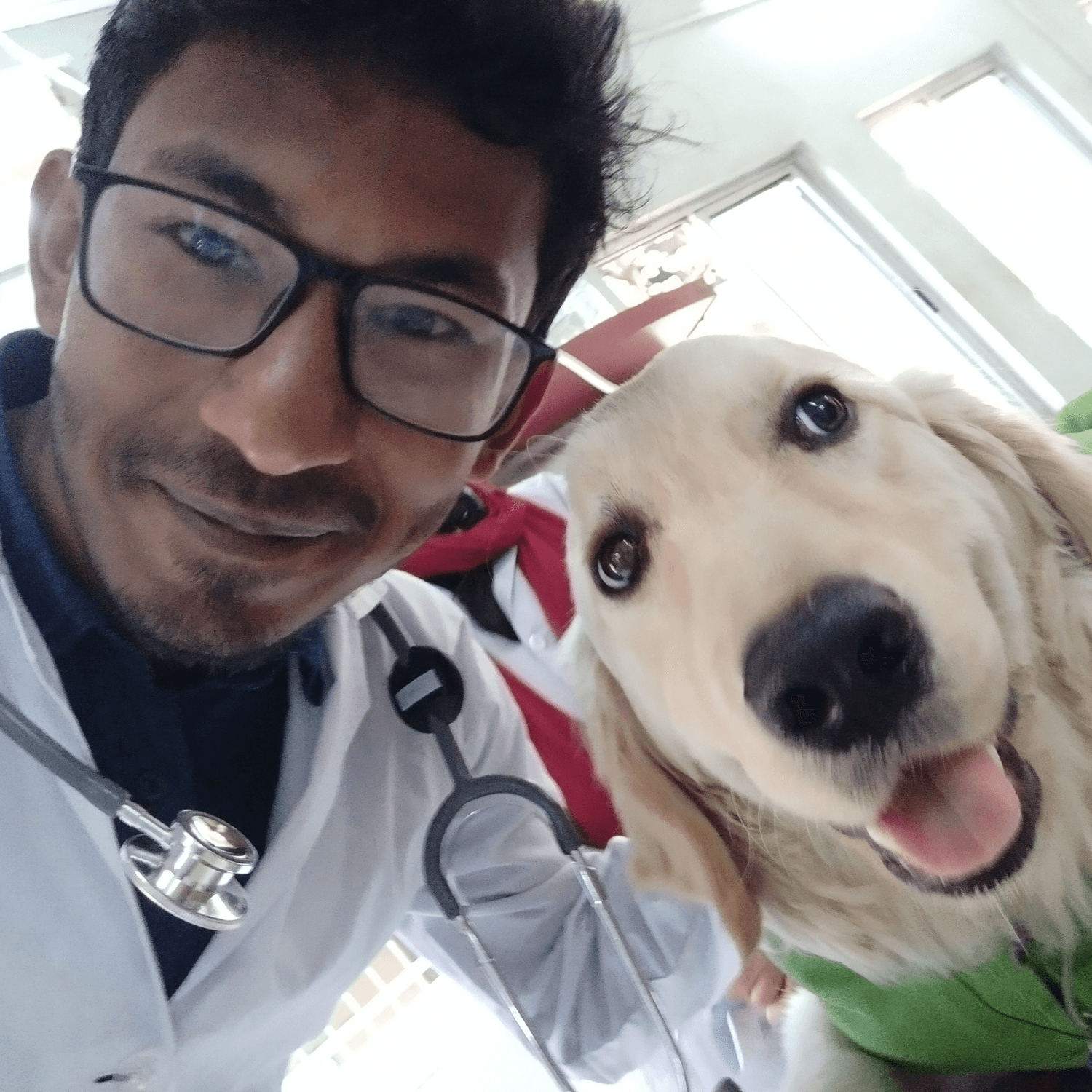 – Dr. Roky, DVM, MS 